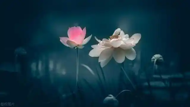 上访如何保障合法权益？这些法规政策要知道