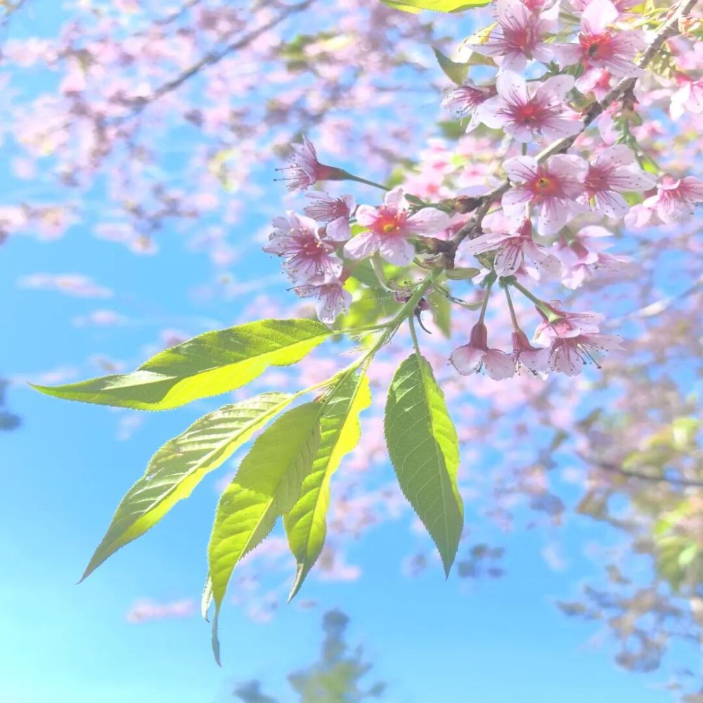 哪张照片,能定义你的2025年?先看看他们的答案