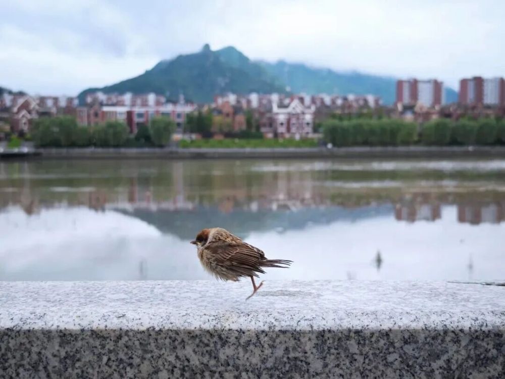 哪张照片,能定义你的2025年?先看看他们的答案