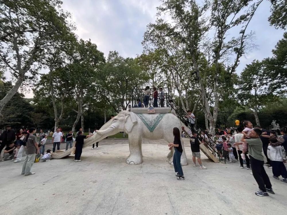 哪张照片,能定义你的2025年?先看看他们的答案