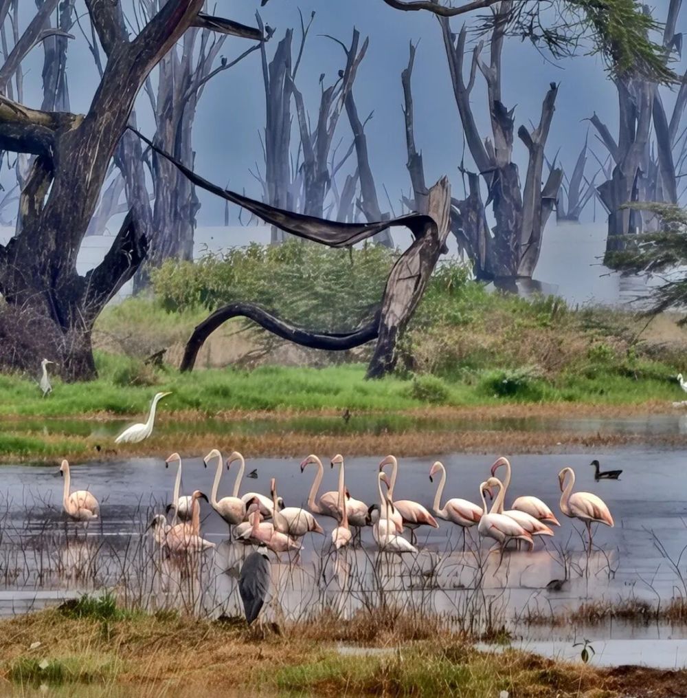 哪张照片,能定义你的2025年?先看看他们的答案