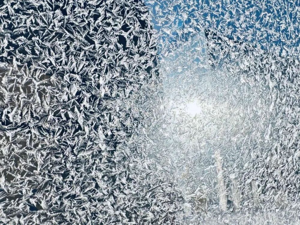 哪张照片,能定义你的2025年?先看看他们的答案