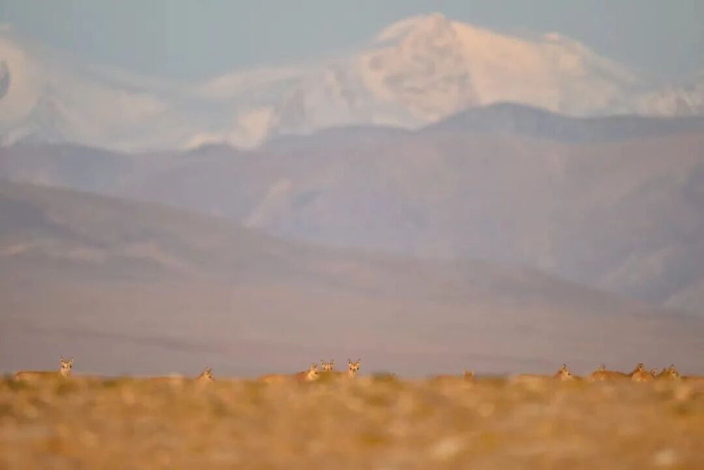 哪张照片,能定义你的2025年?先看看他们的答案