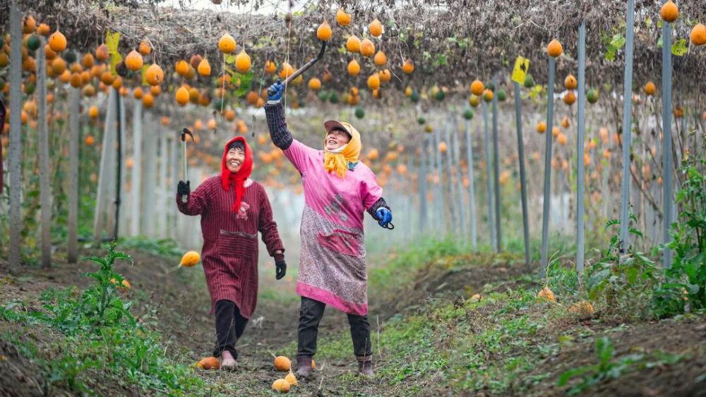 哪张照片,能定义你的2025年?先看看他们的答案