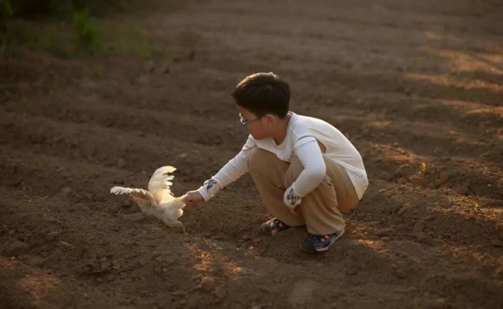 哪张照片,能定义你的2025年?先看看他们的答案