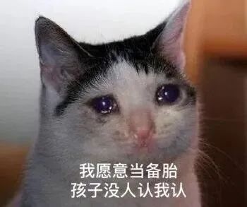 备胎 多长时间 充气_如何识别备胎关系_备胎关系特点
