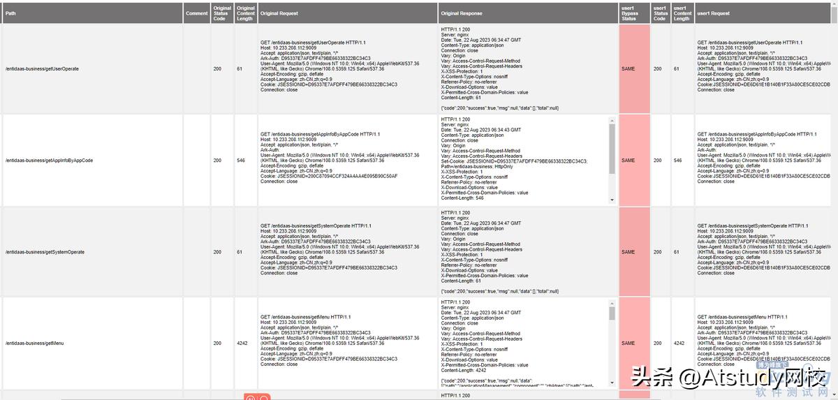 接口越权测试_网站用burpsuite抓不到包_Burp Suite Auth Analyzer插件