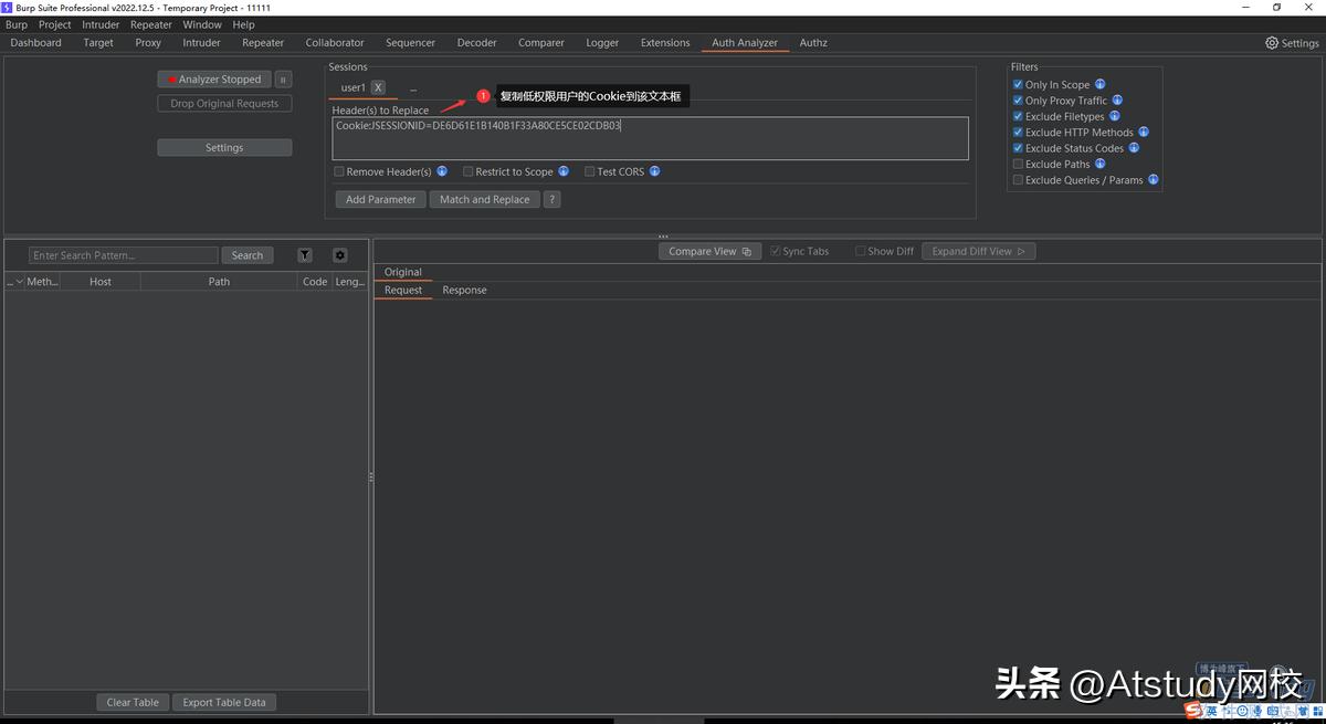 Burp Suite Auth Analyzer插件_接口越权测试_网站用burpsuite抓不到包