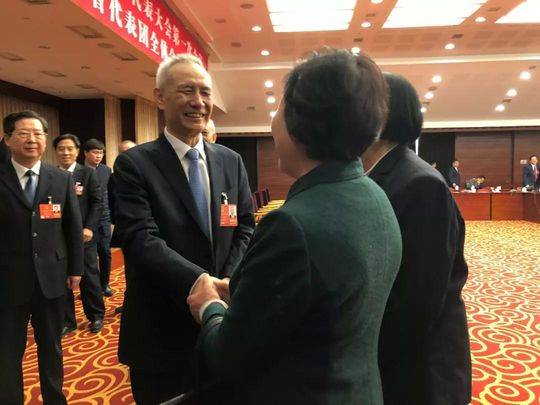 刘鹤山西发展建议_刘鹤全国人大发言_中国高层经济智囊