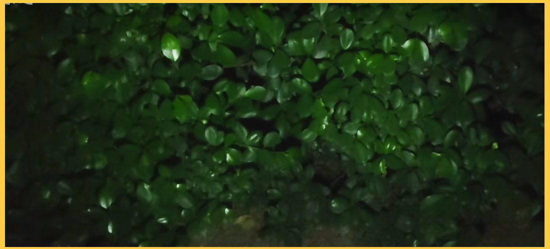 双色无极调光灯超厉害！还有光模块电路图助你DIY