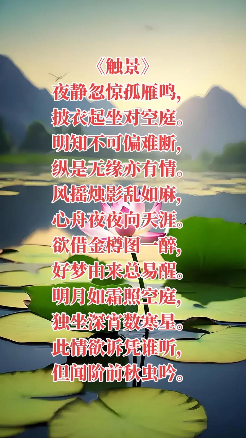 相思之苦难以言表_不问归期雁北向_相思雁南飞诗句解析