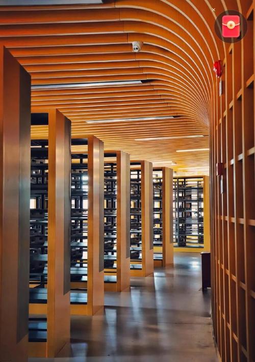 云南财经大学2025年本科招生人数_昆明市云南省财经学校_云南财经大学2025年招生信息