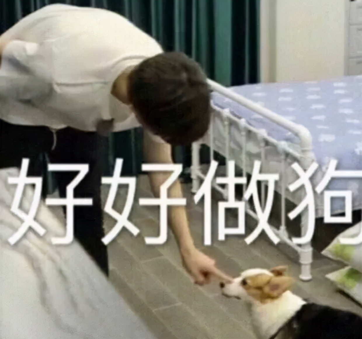 百度网盘限速 工信部整治 网盘服务收费_怎么把360云盘的视频下载到手机