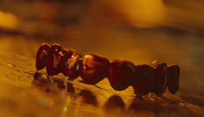 谢苗东北警察故事3动作电影推荐_最近新上映的动作电影_安志杰伍允龙怒袭网络电影动作片