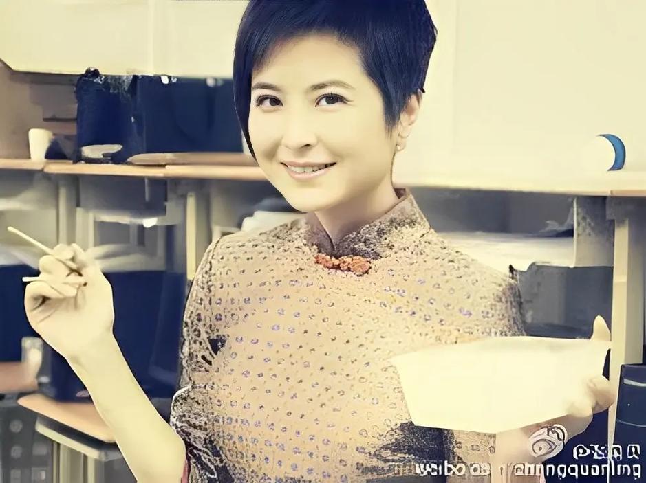 张泉灵北大演讲听后感_张泉灵主持生涯及个人经历_张泉灵央视辞职转型创投圈