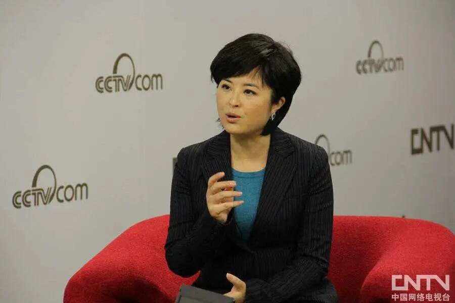 张泉灵央视辞职转型创投圈_张泉灵北大演讲听后感_张泉灵主持生涯及个人经历