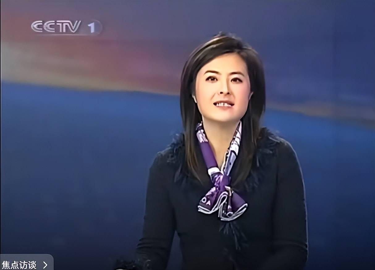 张泉灵北大演讲听后感_张泉灵央视辞职转型创投圈_张泉灵主持生涯及个人经历