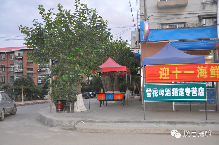 龙涤股份最新消息_阿城涤纶厂发展历程_龙涤厂历史沿革